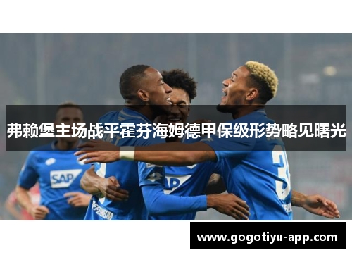 弗赖堡主场战平霍芬海姆德甲保级形势略见曙光