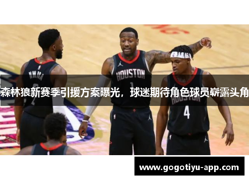 森林狼新赛季引援方案曝光，球迷期待角色球员崭露头角